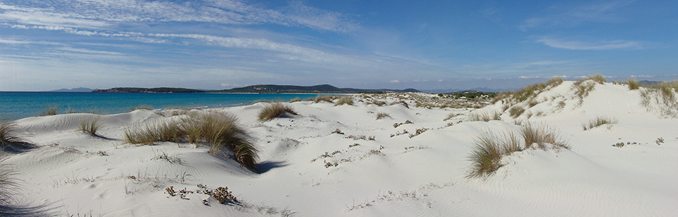 Le dune di Porto Pino